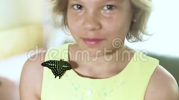 站在她肩膀上的蝴蝶女孩视频的预览图