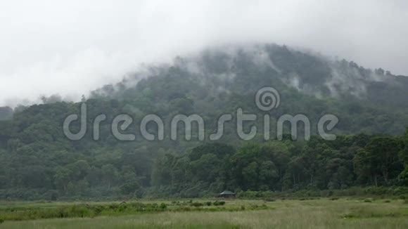 在印度尼西亚巴厘岛森林上空的雾云层迅速地从森林上空飞过视频的预览图