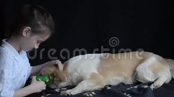 有趣的狗想舔孩子视频的预览图