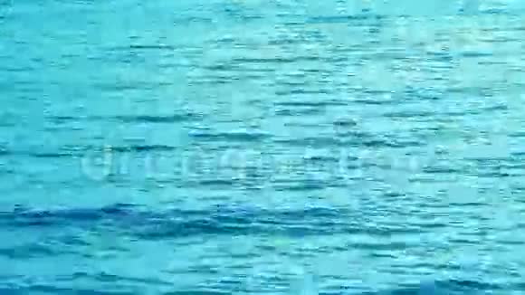 完美的蓝海视频的预览图