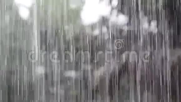 热带的雨视频的预览图
