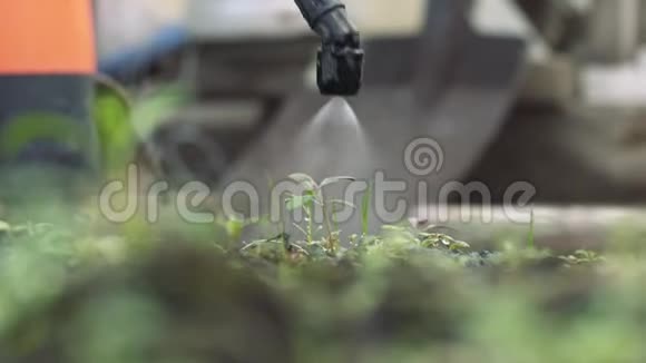 农民在农场特写镜头中喷洒农药视频的预览图