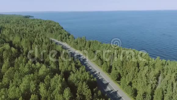 在森林高速公路上向前飞行的鸟瞰图视频的预览图