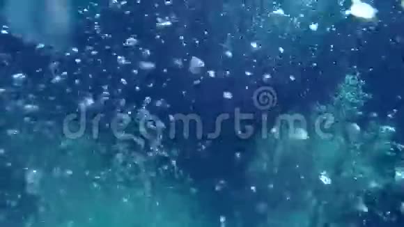 到处都是海上的气泡视频的预览图