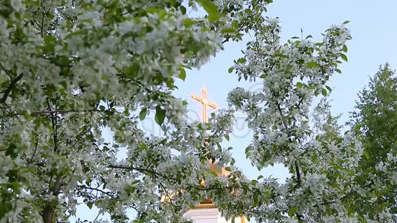 从教堂穹顶的金十字架到开花的白花苹果树枝的焦点运动视频的预览图