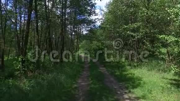 在森林道路上飞过树木的无人机视频的预览图