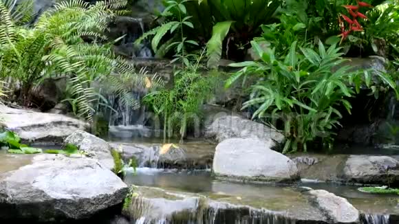 小瀑布和水池周围有岩石和植物视频的预览图