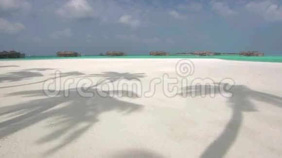 美丽的稳定拍摄平静的绿松石海洋天堂水在热带海滩海岸海岸线与棕榈树的轮廓视频的预览图