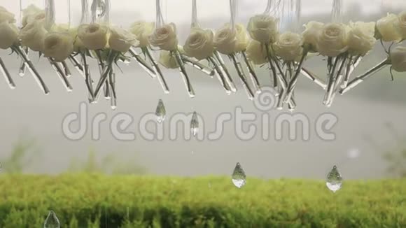 在雨中特写白玫瑰和水晶视频的预览图