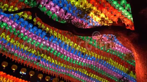 韩国首尔朱耶萨佛寺用彩灯装饰大树视频的预览图