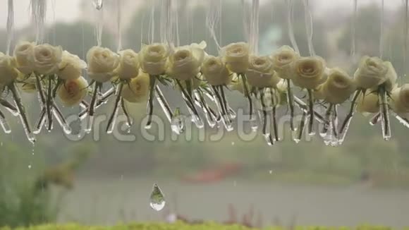 在雨中特写白玫瑰和水晶视频的预览图