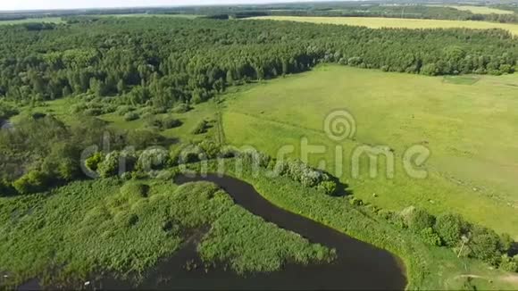 空中视频拍摄一片黑暗湖泊附近的大草地相机慢慢地下降了远处一匹马跑过去视频的预览图