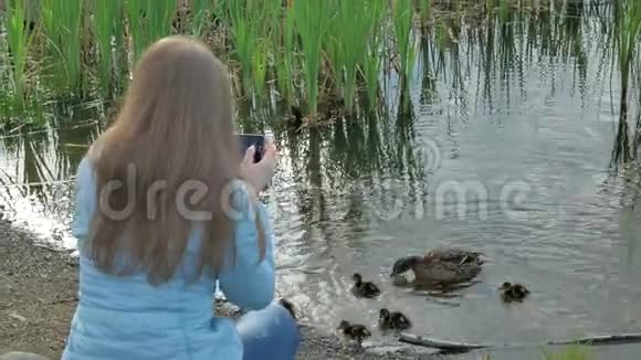 女孩正拿着智能手机在河岸边拍一只野鸭和小鸭子的照片视频的预览图