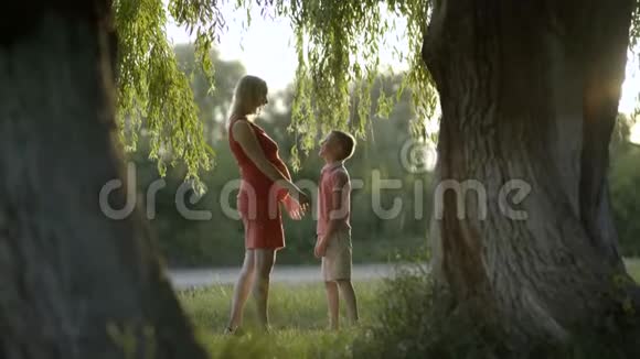 怀孕的母亲和儿子在树旁玩耍他们拥抱并快乐着生活视频的预览图