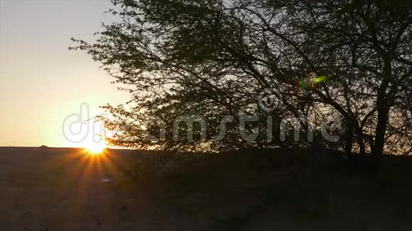 沙质沙漠的早晨日出早晨沙漠景观视频的预览图