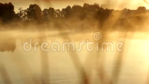火热的雾河视频的预览图