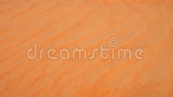 沙丘上的沙面野生沙漠高沙丘全景视频的预览图