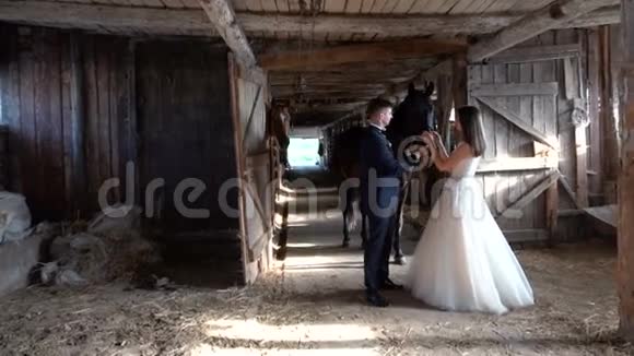 在马棚里结婚视频的预览图