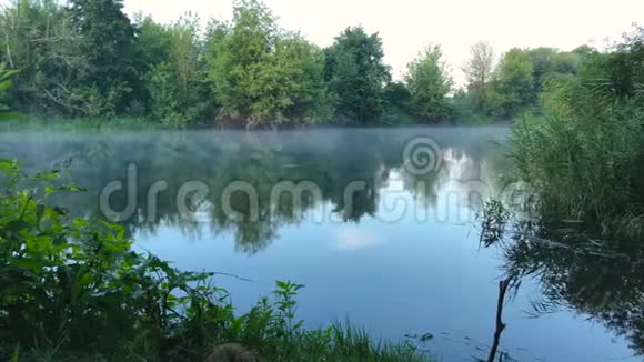 黎明时分河面雾蒙蒙时间流逝乌克兰视频的预览图