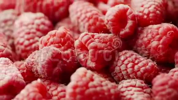 水果背景很多红树莓会旋转视频的预览图
