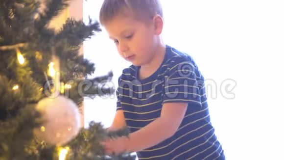 可爱的小男孩用球和灯装饰圣诞树在家里准备过年的孩子视频的预览图