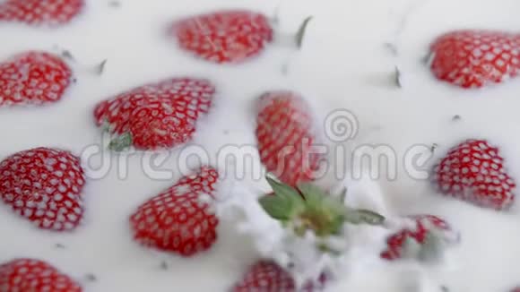 成熟的草莓倒在牛奶里夏季浆果白色奶油视频的预览图