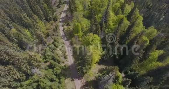 从山上一条迷失的森林小径的高处俯瞰空中拍摄视频的预览图