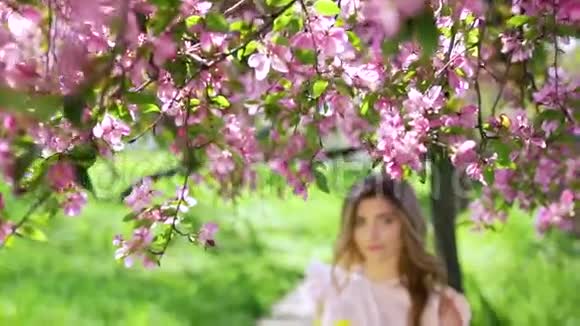 花圃里有一束郁金香的美女视频的预览图