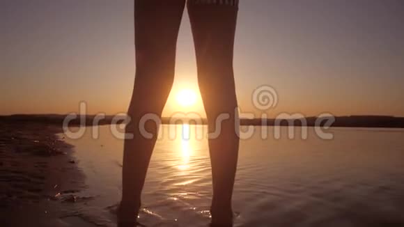 夕阳背景下的少女视频的预览图
