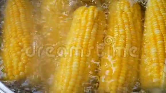 4新鲜甜黄玉米在火锅锅炉营养高维他命与纤维果蔬有益健康视频的预览图