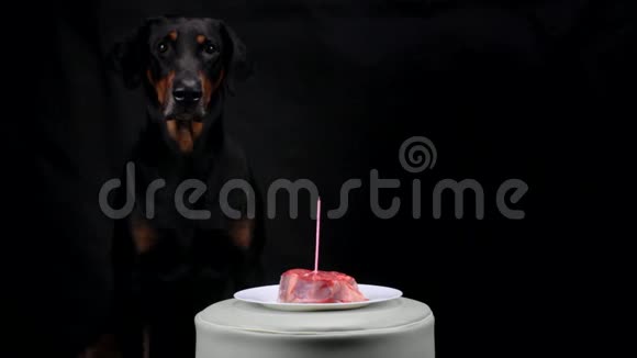大黑狗拿着蜡烛坐在肉前面视频的预览图