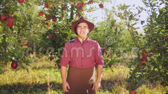 戴帽子的农夫在苹果园里竖起大拇指的画像视频的预览图
