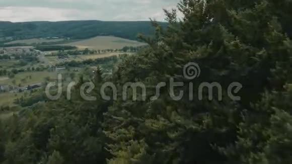 山的森林视频的预览图