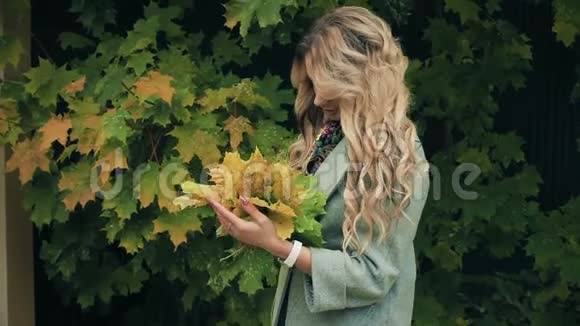 灰色的女孩带着一束黄色的秋叶摆着秋天视频的预览图