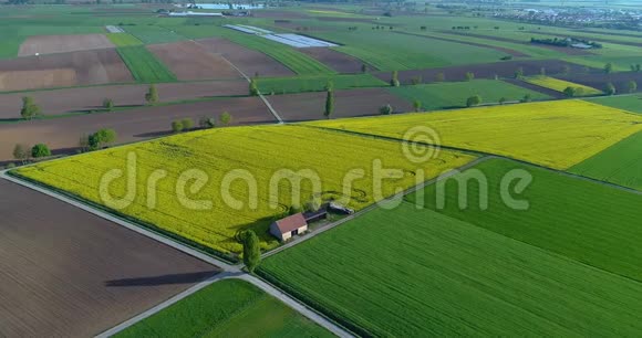 农业欧洲农业五颜六色的黄田五颜六色的农民田视频的预览图