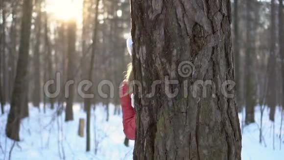 迷人的年轻女子在冬季公园躲在树后微笑玩得很开心慢速视频视频的预览图