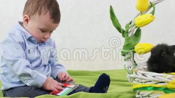 小男孩看动画片孩子玩智能手机孩子玩得开心柳条篮子里的复活节兔子视频的预览图