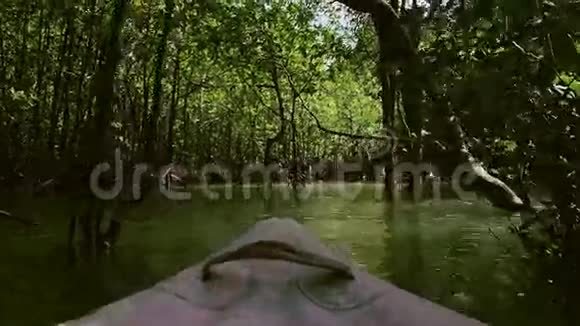 泰国的水上森林视频的预览图