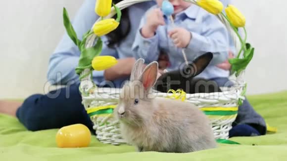 复活节兔子靠近柳条篮子孩子玩五颜六色的鸡蛋年轻的妈妈和儿子坐在一起视频的预览图