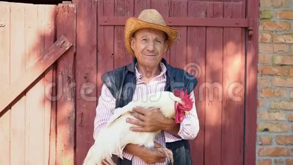 一个戴着草帽的老农夫正抱着一只活生生的白公鸡一个人的肖像上有一只白公鸡视频的预览图