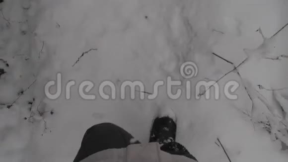 观点自然景观在冬天的雪林里散步的人视频的预览图