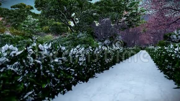 冬天的日本花园树间阳光明媚日落倾斜视频的预览图