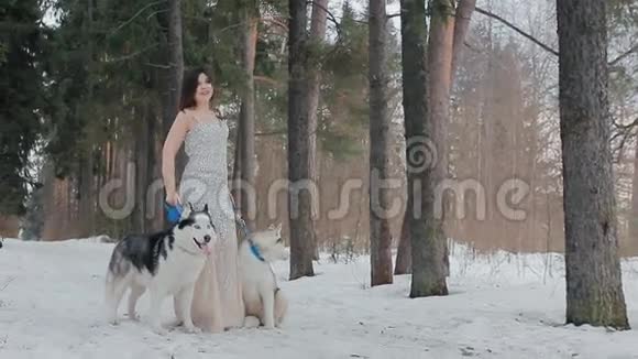 美丽的女人和两只狗西伯利亚哈士奇视频的预览图