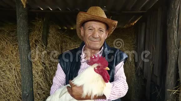 一个戴着草帽的老农夫正抱着一只活生生的白公鸡干草上一只白公鸡的画像视频的预览图