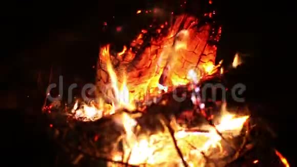 大晚上的篝火在森林的空地上燃烧大火燃烧结束视频的预览图