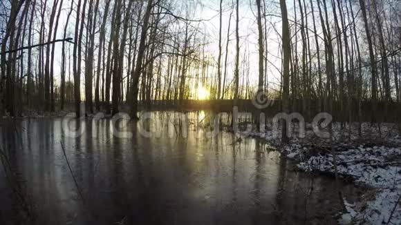 冬天的日出越过池塘和森林视频的预览图