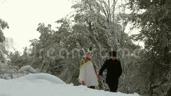 在雪地里快乐的散步视频的预览图
