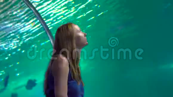 家人参观海洋馆在水族馆管子里看着鱼的女人视频的预览图