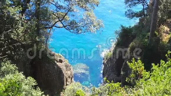 意大利波托菲诺国家公园的帕拉吉湾岩石上有树木的水晶海视频的预览图