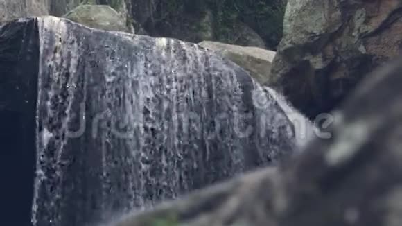 山雨林的岩石上流淌的瀑布流水山河流石瀑水视频的预览图